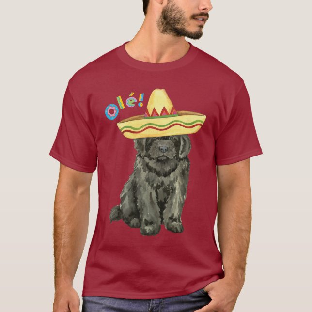 T-shirt Fiesta Newfoundland (Devant)