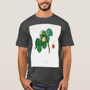 T-shirt Fig Fico Troiano de Pomona Italiana 1817 1839