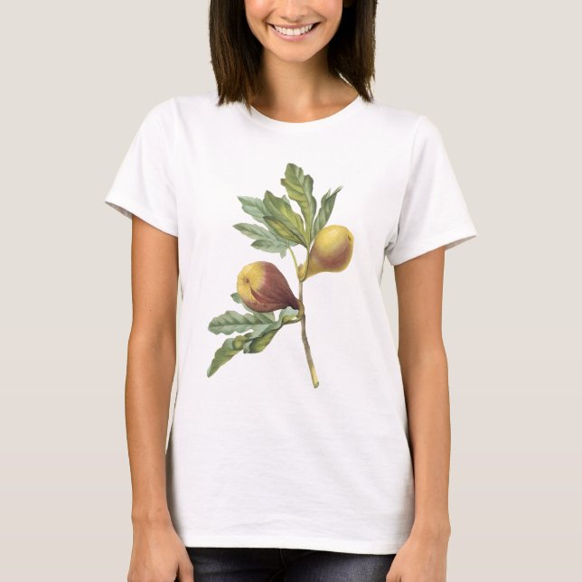 T-shirt figue (violacea de Ficus) par Redouté (Devant)