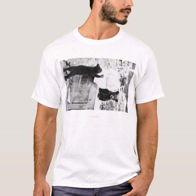 T-shirt Fille jouant avec l'ours CUB dans Seward (Devant)