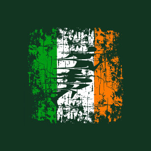 T-SHIRT FITNESS IRLAND RUNNER GYM CROSS TRAINING POIDS