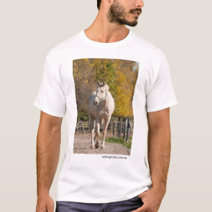 T-shirt Fitzroy - NNEP Ottawa, DESSUS
