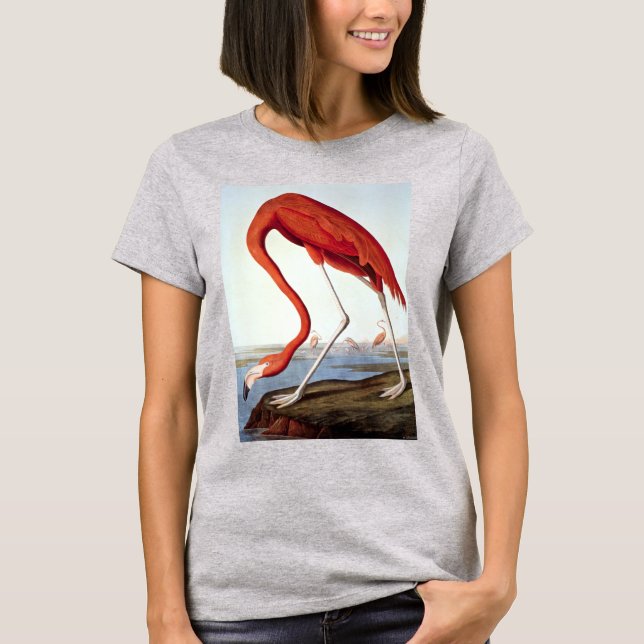T-shirt Flamant rose américain (Devant)