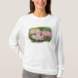 T-shirt Fleur de lotus, Nelumbo nucifera, Chine 2