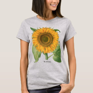 T-shirt Fleur de tournesol vintage par Basilius Besler