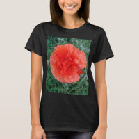 Fleur Wild Double Poppy