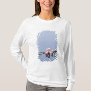 T-shirt Fleurs de cerisier sur l'eau