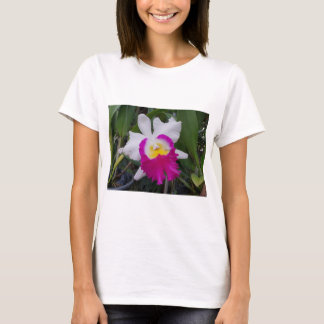 T-shirt Fleurs d'orchidée de la Thaïlande