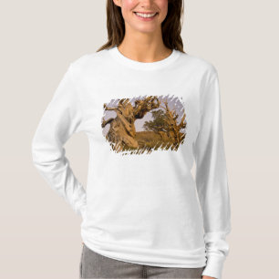 T-shirt Forêt antique de pins à bristlecone, Montagnes bla