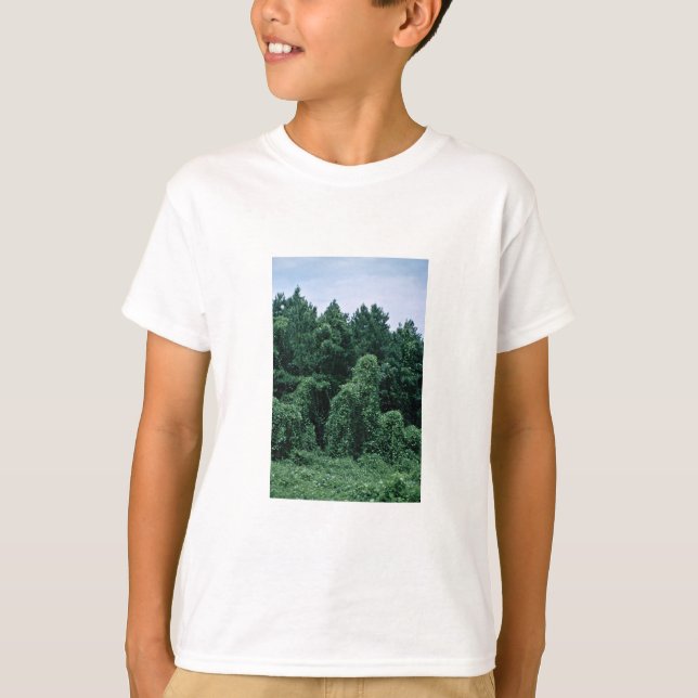 T-shirt Forêt envahie par Kudzu/ (Devant)