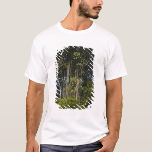 T-shirt Forêt tropicale en bordure de la rivière Rewa, Guy