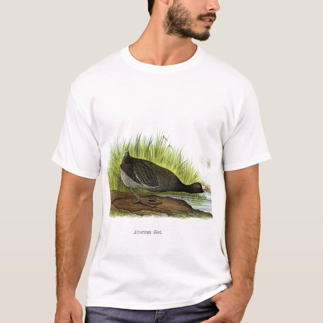T-shirt Foulque maroule américaine (Devant)
