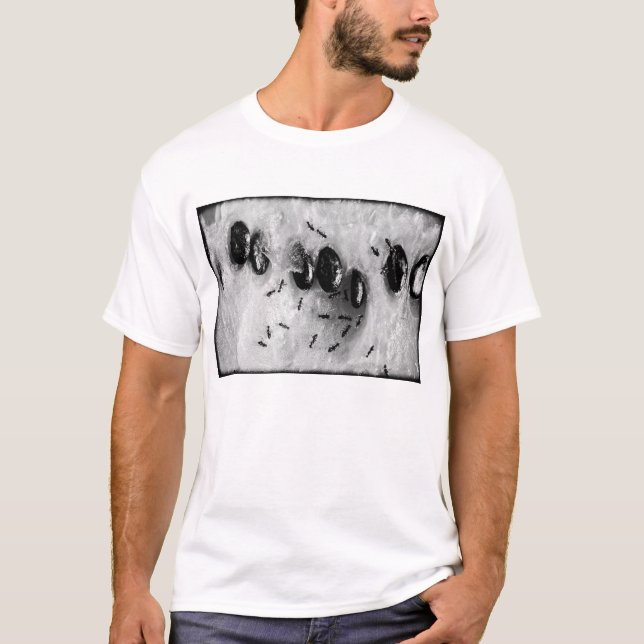 T-shirt fourmis de surf (Devant)