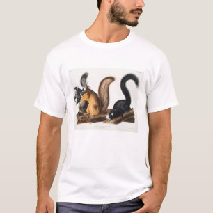 T-shirt Fox Squirrel Camping Déco Cadeaux