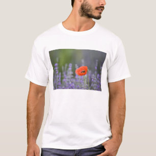 T-shirt France, Provence. Le pavot solitaire dans le champ