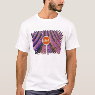 T-shirt France, Provence. Rangées de lavande et arrêt