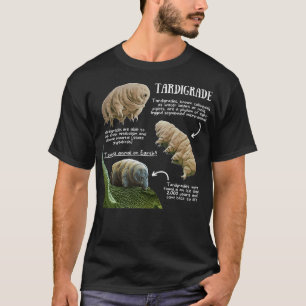 T-shirt Fun Fun Fun Fun