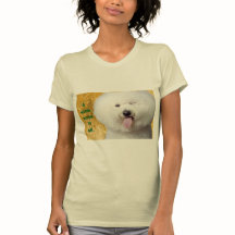 T-shirt Funny Chien Imprimer Un Verre Dit Tout