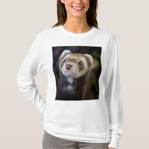 T-shirt Furet