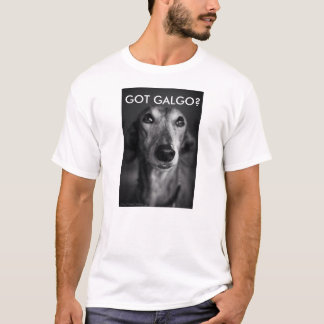T-SHIRT GALGO OBTENU ?