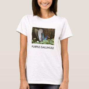 T-SHIRT GALLINULE POURPRE