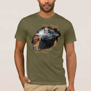 T-shirt Gandalf You Shall Not Pass