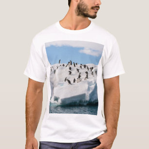 T-shirt Gentoo Penguin Antarctica Iceberg Playtime