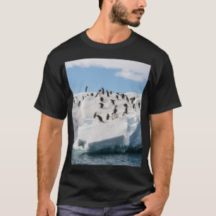T-shirt Gentoo Penguin Antarctica Iceberg Playtime