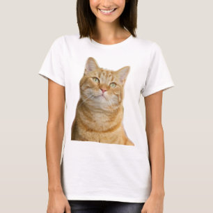 T-shirt Ginger cat gros yeux verts blanc