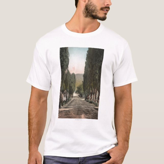 T-shirt Glenwood Springs, le Colorado (Devant)