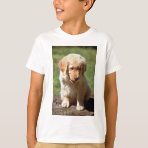 T-shirt Golden Retriever pub