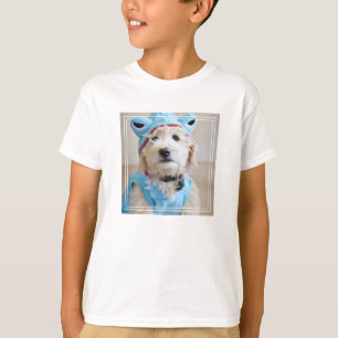 T-shirt Goldendoodle En Costume De Requin
