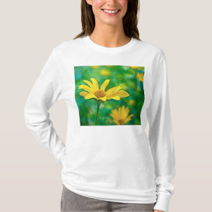 T-shirt Goldie