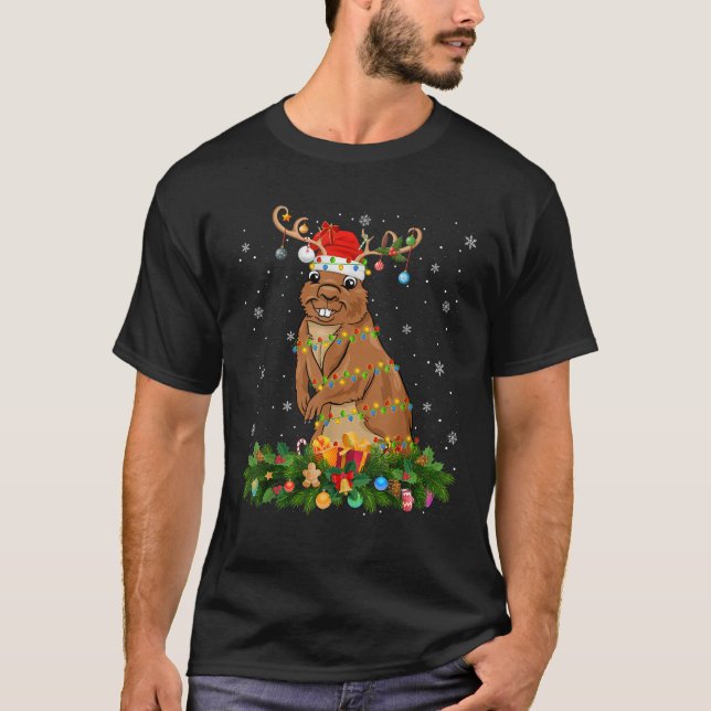 T-shirt Gopher Xmas Éclairage renne Santa Hat Gopher Chr (Devant)