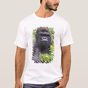 T-shirt Gorille des terres basses de Silverback, Gorilla g