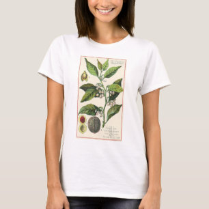 T-shirt Graines de fruits Plantes de muscade vintage, Herb