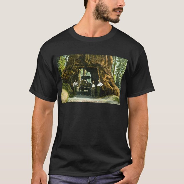 T-shirt Grand arbre Wawona, verger de Mariposa, cru de CA (Devant)