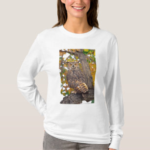 T-shirt Grand-duc d'Amérique