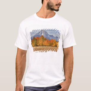 T-shirt Grand Teton NP, Mont Moran et trembles