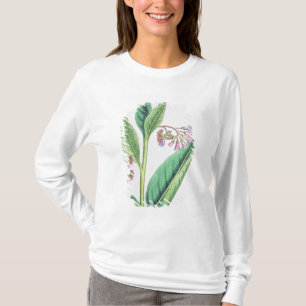 T-shirt Grande consoude, plat MCXVI, c.1800