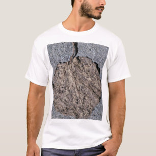 T-shirt Graphique/ Texturé