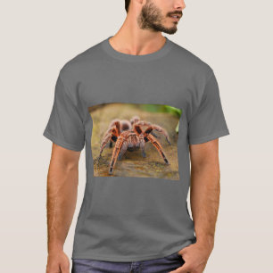 T-shirt Graphisme araignée nature