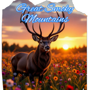 T-shirt Great Smoky Mountains Buck