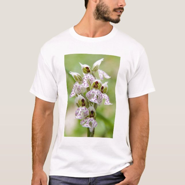 T-shirt Grèce, Crète. Orchidée en fleurs Orchis (Devant)