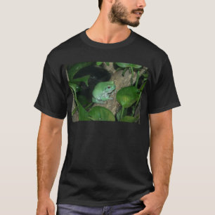T-shirt Grenouille d'arbre du blanc, grenouille trapue