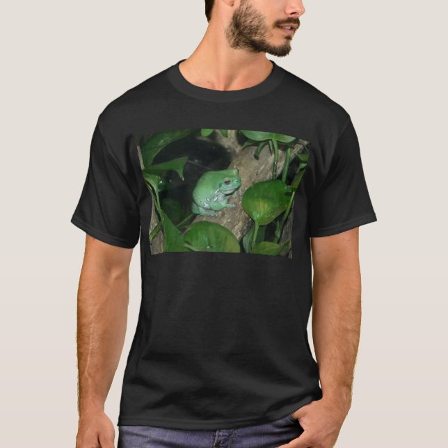 T-shirt Grenouille d'arbre du blanc, grenouille trapue (Devant)