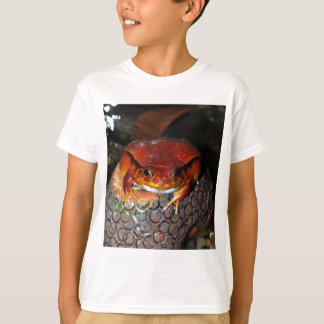 T-shirt Grenouille de tomate