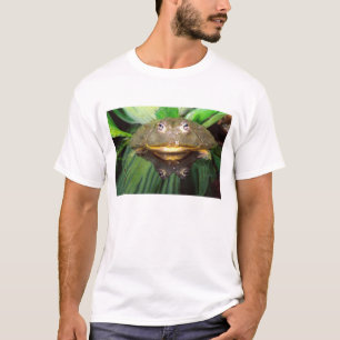 T-shirt Grenouille-taureau africaine, Pyxicephalus 2