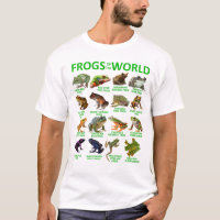 Grenouilles Du Monde Aimer Grenouilles Herpétologi
