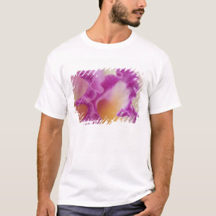 T-shirt Gros plan d'orchidées hybrides, Delray Beach, Flo